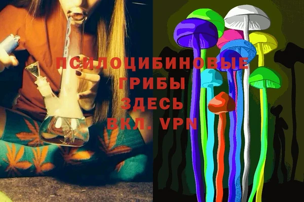 мяу мяу мука Белокуриха