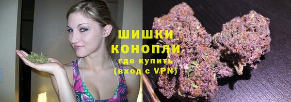 мяу мяу мука Белокуриха