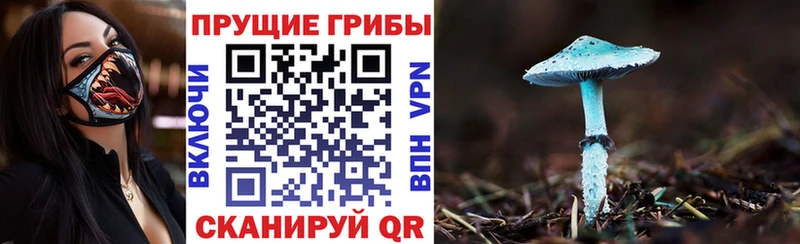 Псилоцибиновые грибы мицелий  Бутурлиновка 